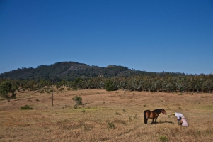 Campo Zacharias